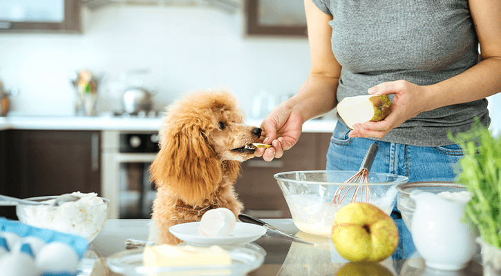Nutrition