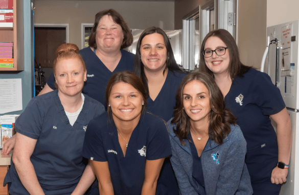 Meet Our Team