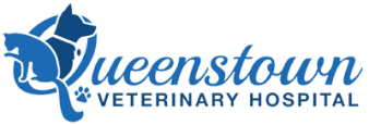 Queenstown Veterinary Hospital