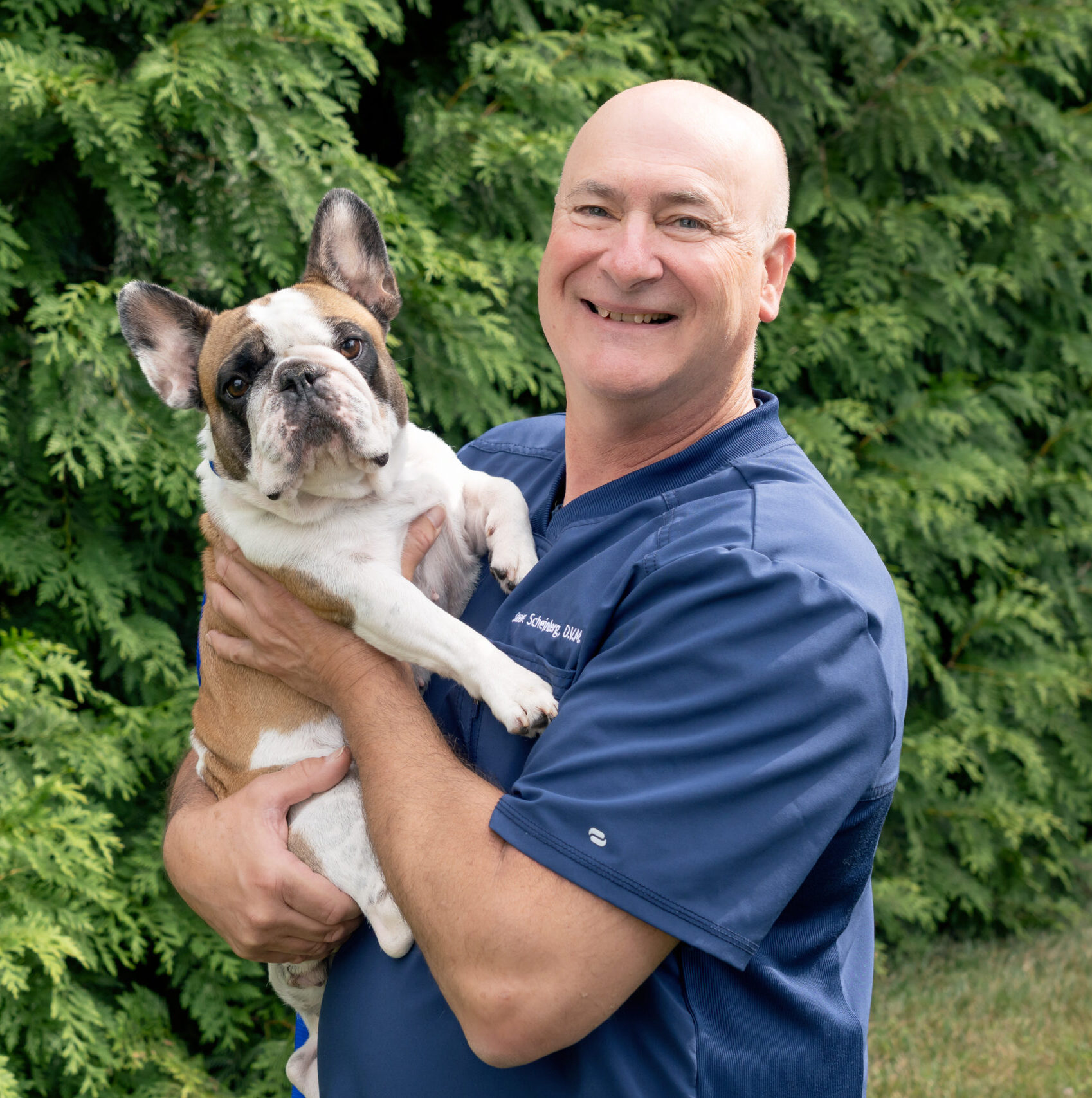 Stuart Scheinberg, DVM